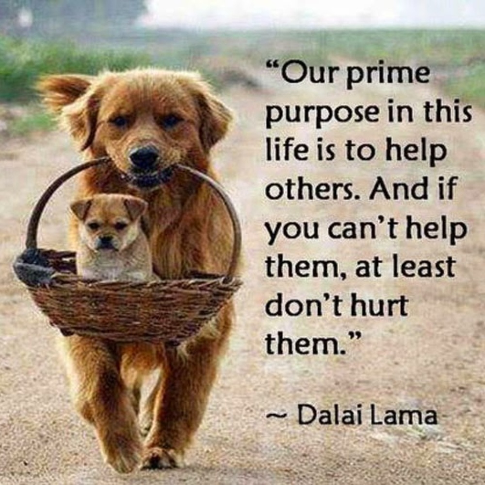 Help Others